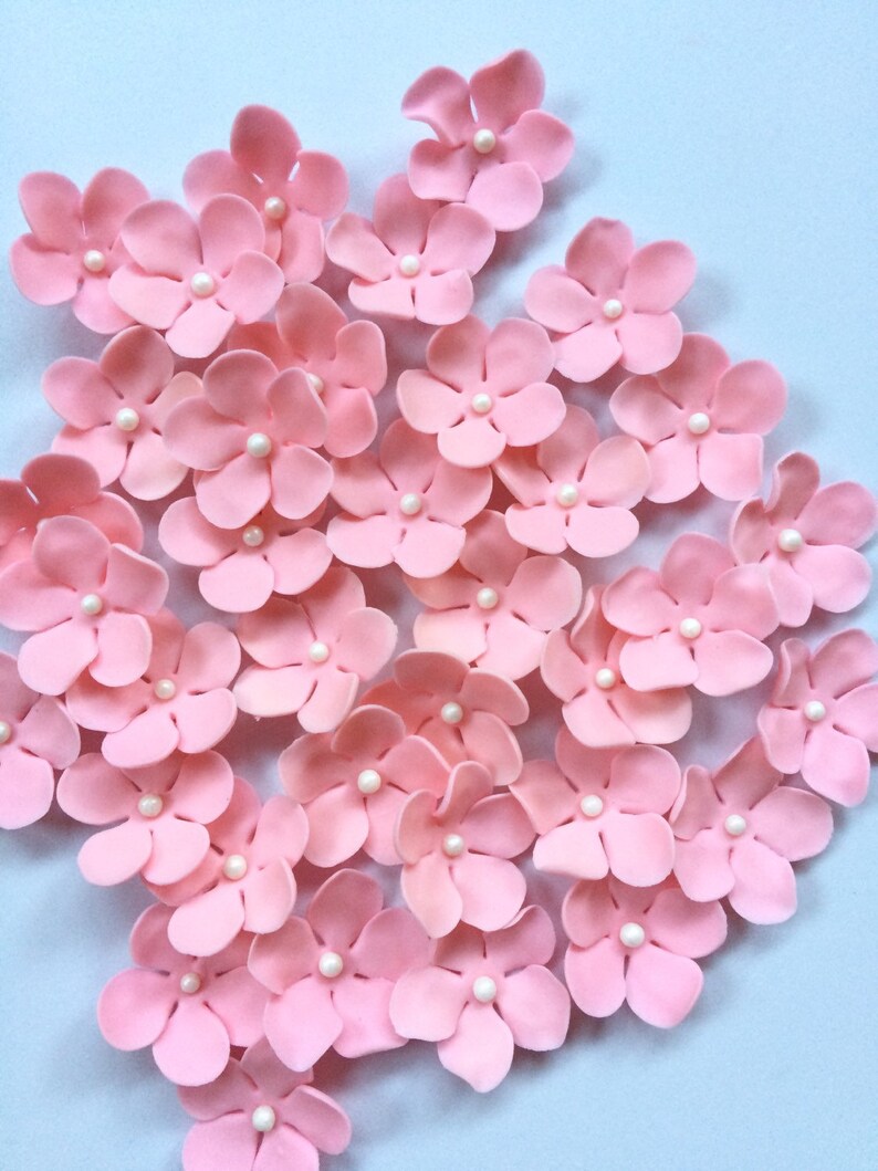 36 Edible Fondant Flowers Blush Pink Hawaiian Tropical Cupcake Etsy
