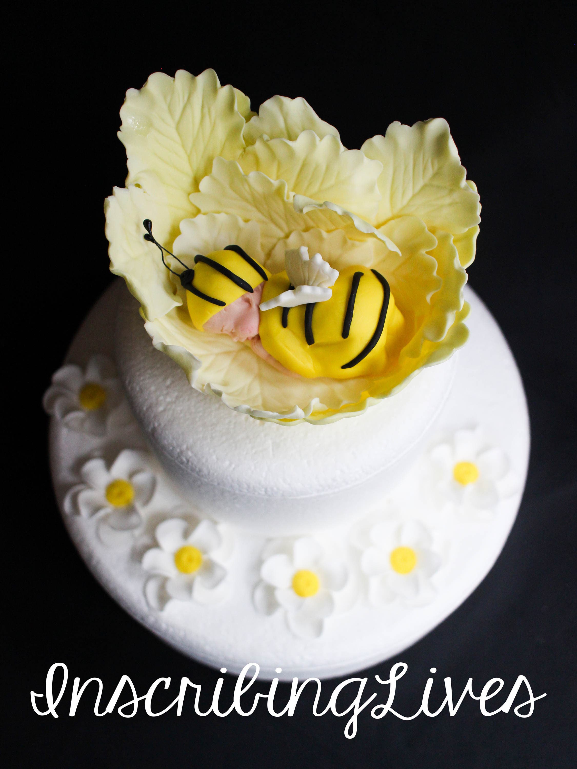 Mua One Piece Cake Toppers 8pcs Cat Mini Figures Set Anime Characters One Piece Cake Decorations For Birthday Party Supplies Cupcake Figures Collection Trên Amazon Anh Chính Hãng 2022 Fado | The Mua One Piece Cake Toppers 8pcs Cat Mini Figures Set Anime Characters One Piece Cake Decorations For Birthday Party Supplies Cupcake Figures Collection Trên Amazon Anh Chính Hãng 2022 Fado | The