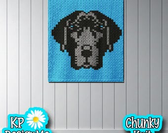 Labrador Retriever Face Blanket Pattern: Chunky Finger Knit Design (Digital Download)
