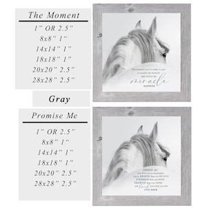 White Horse Framed Wall Art – “Promise Me” or “Miracle Happens” Quote – 8x8 Encouragement Gift – Inspirational Equestrian Decor