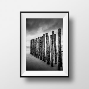 Foto en blanco y negro de Bretaña, malecón de playa, troncos de árboles, imagen de fotografía, paisaje, cartel de playa, decoración de pared