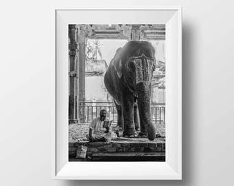 Photo Noir et blanc Inde - Madurai Tamil Nadu Elephant Temple Image Paysage Inde du Sud Noir et Blanc Affiche Poster Voyage