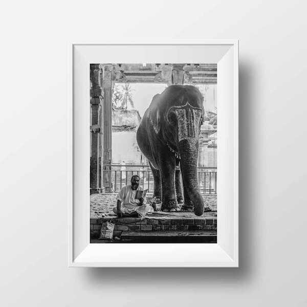 Fine ART Print South India  - Madurai Tamil Nadu Temple Elephant Black and White Landscape Backlight Photo Image Poster Wall Art Picture