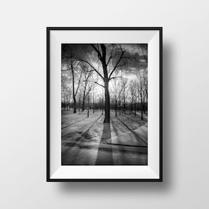 Pariser Fotodrucke - Jardin Belleville Vieux Paris Schwarz-Weiß-Fotografie Straßenszenen Poster Dekoration
