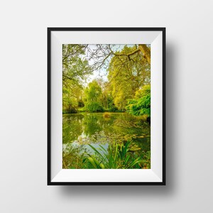 Foto colorida Boutiguery Garden - Finistère Parc Mare Lírio d'água Verde Fotografia Pôster de viagem Decoração de parede