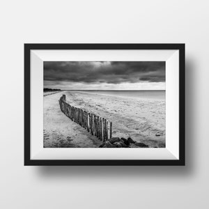 Foto Brittany Preto e Branco - Dique Praia Troncos de árvores Imagem Fotografia Paisagem Beira-mar Pôster Decoração de Parede