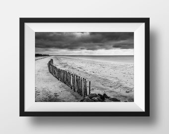 Photo Bretagne Noir et Blanc - Digue Plage Troncs d'Arbre Image Photographie Paysage Bord de Mer Affiche Poster Décoration Murale