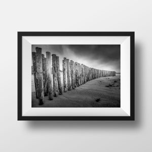Foto em preto e branco Brittany - Kerambigorn Praia Paredão Troncos de árvores Fotografia Paisagem Beira-mar Pôster Decoração de parede