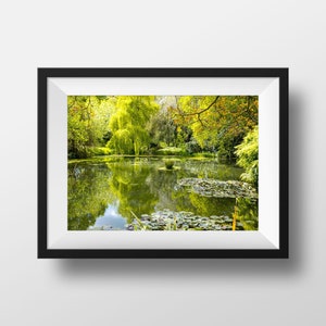 Foto colorida Boutiguery - Finistère Jardin Mare Lírio d'água Verde Fotografia Pôster de viagem Decoração de parede