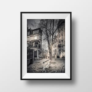 May include: A black and white photo of a Parisian street scene with a tree in the center and buildings on either side. The street is cobblestone and there are two benches in the foreground.