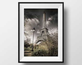 Paris Photo Fine Art Print - The Eiffel Tower from Champs de Mars gardens and in color Poster Cityscape Of France Wall Art