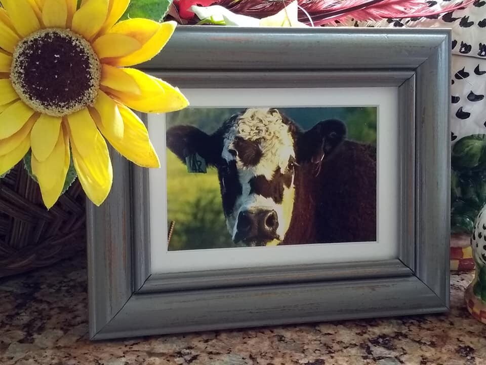 Decoración de la vaca decoración del hogar gris marco | Etsy