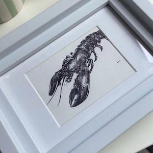 Stampa incorniciata in formato A5 di un disegno di un&#39;aragosta, originariamente disegnato a penna biro. Opera originale dell&#39;artista cornico Yori.