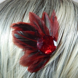 May include: A burgundy feather hair clip with a large red rhinestone in the center.