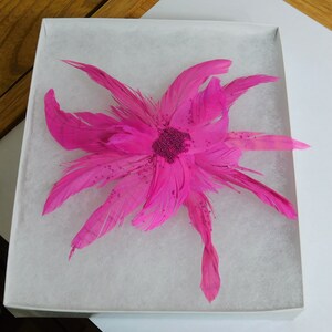 Pink Feather Hair clip Pretty in Pink Feather Fascinator Glitter Hair Pin Dance Hair Comb Recital Fascinator image 2