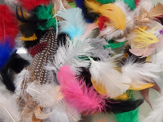 Craft Feathers - Scrapbook Feathers - Mixed Feather Bag - Natural Feathers  - Decorative Feathers