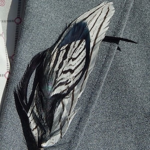 Zebra Pheasant Feather boutonniere - Black and White Lapel Pin - Groom Boutonniere - Prom Boutonniere - Homecoming