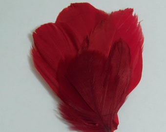 Solo clip de pelo de plumas rojas - Fascinator de plumas de ganso rojo - Horquilla de baile roja - Tocado rojo