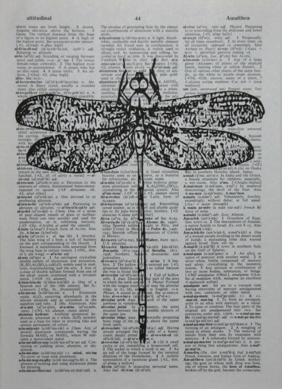 Dragonfly 2 Dictionary Art Print Animal Vintage Illustration Wildlife Zoo