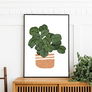Calathea Botanical Houseplant art print, Orbit Peacock plant download wall decor, Boho potted plant, bohemian downloadable art print