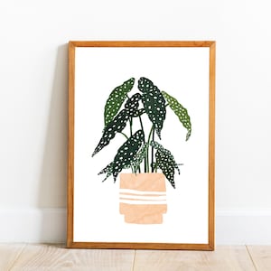 Begonia Wall Art, Houseplant Art Print, Begonia Maculata Illustration Art, Plant Art, Botanical Art, Boho Plant Art, Downloadable Wall Art