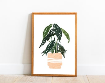 Begonia Wall Art, Houseplant Art Print, Begonia Maculata Illustration Art, Plant Art, Botanical Art, Boho Plant Art, Downloadable Wall Art