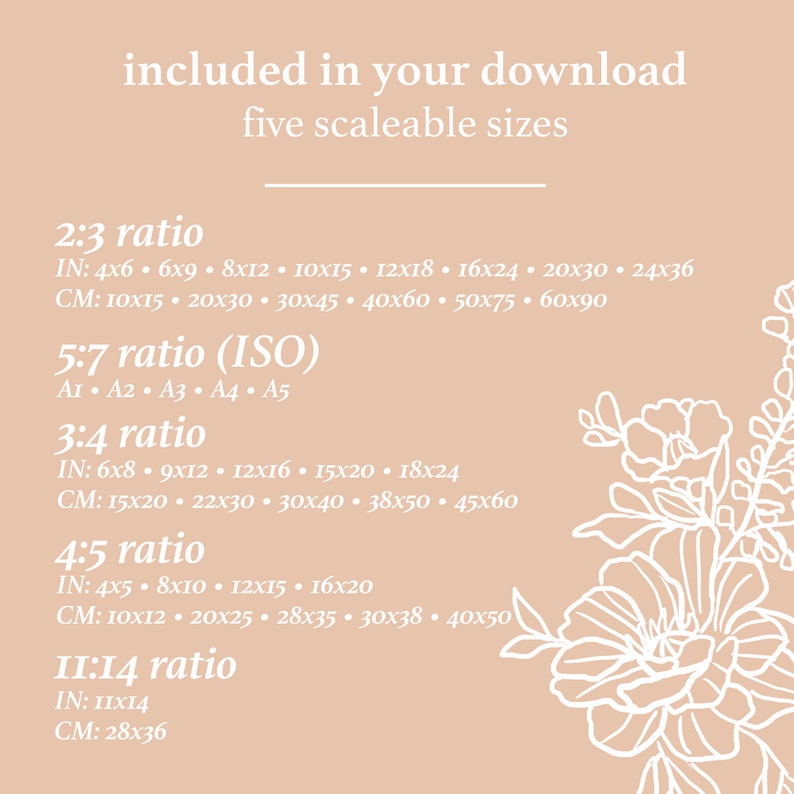 May include: A graphic showing five different aspect ratios for digital downloads, with measurements in inches and centimeters. The ratios are 2:3, 5:7 (ISO), 3:4, 4:5, and 11:14.