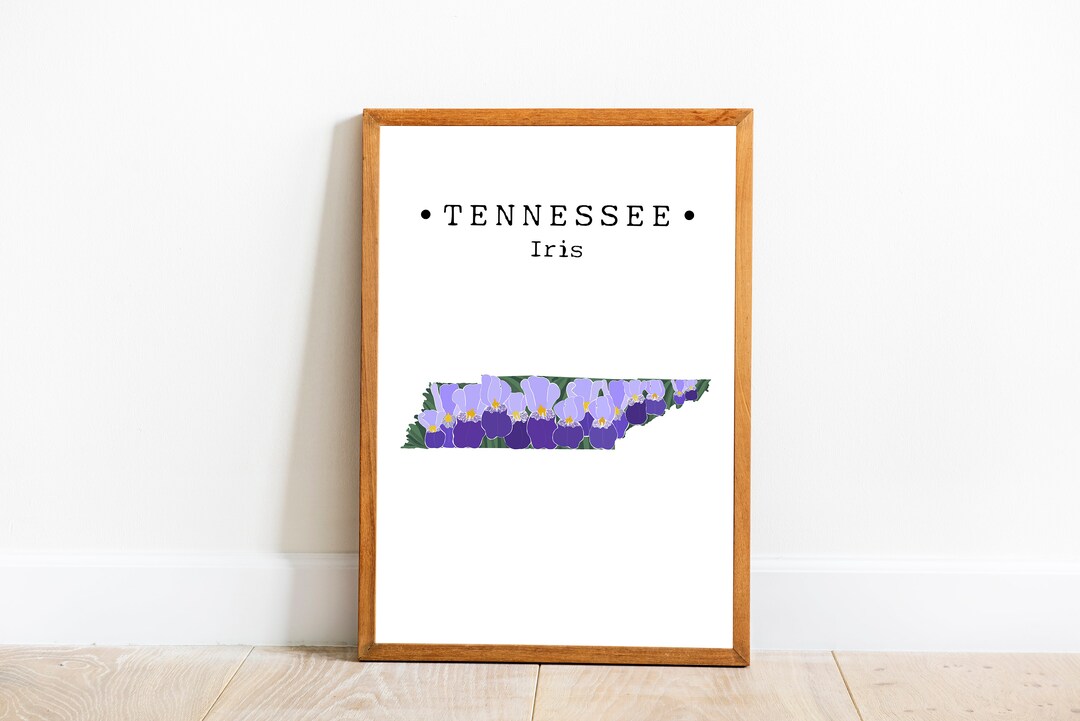 Tennessee State Flower Wall Art Tennessee Iris Art Print Etsy