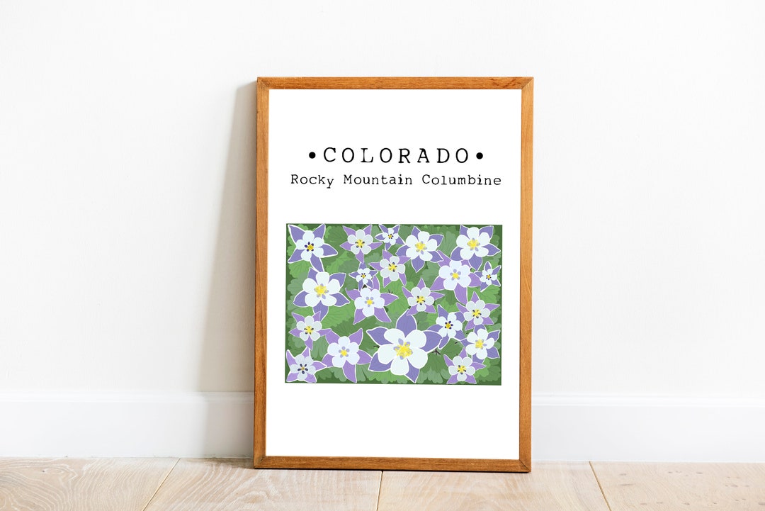 Colorado State Flower Wall Art, Colorado Rocky Mountain Columbine Art ...
