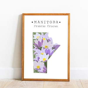 Manitoba provincie bloem muur kunst, Canada kaart afdrukken, Manitoba kaart kunst, provinciale bloem home decor, college dorm kunst, afdrukbare kunst aan de muur