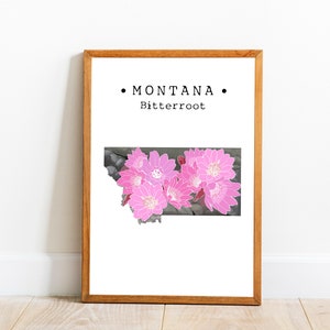 Montana State Flower Wall Art, Montana Bitterroot Wand-Dekor, Montana Karte Kunst, State Flower Art, College Wohnung Dekor, herunterladbare Kunst