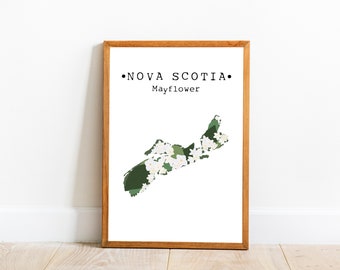 May include: A framed print of the outline of Nova Scotia, Canada, filled with white mayflowers and green foliage. The text "NOVA SCOTIA" and "Mayflower" is printed below the map.