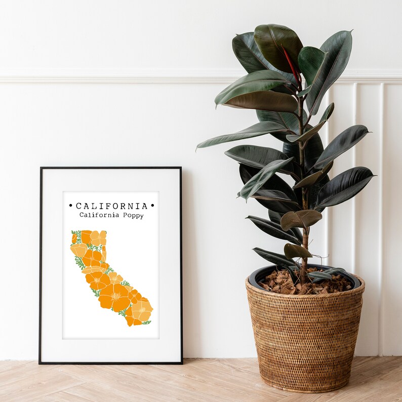 California State Flower wall art CA Poppy floral print | Etsy