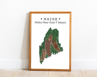 Maine State Flower Wall Art, cono de pino blanco y estampado de borlas, maine map art, arte de la pared de flores del estado de EE.UU., decoración de la pared de Maine, arte descargable