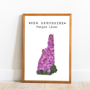 New Hampshire State Flower Wall Art, New Hampshire Purple Lilac, New Hampshire Map Art, NH State Flower, College Dorm Decor, Downloadable