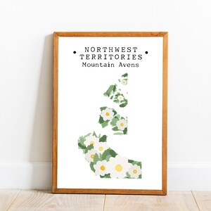 Northwest Territories Wall Art, Canada Provincial Flower Art, Northwest Territories Flower Print, College Dorm Art, Canada Wall Art