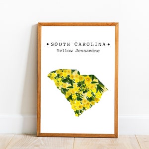 South Carolina State Flower Print, State Flower Wall Art, South Carolina Yellow Jessamine, US State Flower Wall Art, South Carolina Map Art