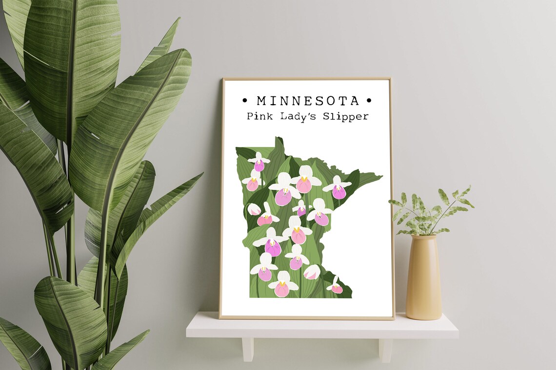 Minnesota State Flower Wall Art, Pink Lady's Slipper Print, Minnesota ...
