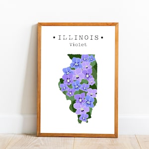 Arte da parede da flor do estado de Illinois, arte do mapa de Illinois, impressão violeta de Illinois, decoração de quarto de Illinois, presente de inauguração, impressão artística para download