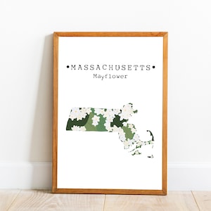 Arte da parede da flor do estado de Massachusetts, impressão da arte do Mayflower de Massachusetts, arte do mapa de Massachusetts, impressão da flor do estado dos EUA, arte para download
