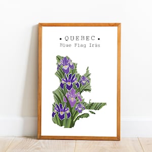 Quebec Provincie Flower Art, Quebec Blue Iris Wall Art, Canada Kaart Kunst, Provinciale Bloem Print, College Dorm Art, Canada Home Decor