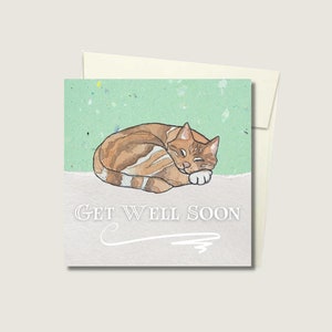 Cozy Kitten Get Well Message - Juego de tarjeta y sobre