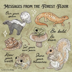 Messages from the Forest Floor - Whimsical Wall Art