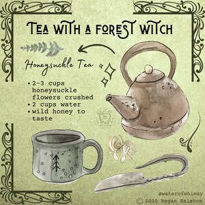 May include: A watercolor illustration of a teapot, a mug, and a knife, with the text "TEA WITH A FOREST WITCH" and "Honeysuckle Tea". The recipe for honeysuckle tea is listed below the text: "2-3 cups honeysuckle flowers crushed, 2 cups water, wild honey to taste."