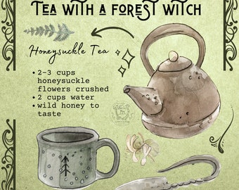 May include: A watercolor illustration of a teapot, a mug, and a knife, with the text "TEA WITH A FOREST WITCH" and "Honeysuckle Tea". The recipe for honeysuckle tea is listed below the text: "2-3 cups honeysuckle flowers crushed, 2 cups water, wild honey to taste."
