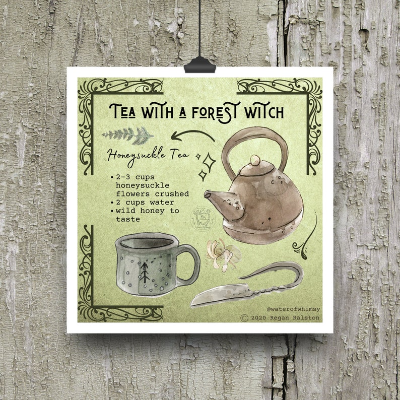 May include: A watercolor illustration of a recipe for Honeysuckle Tea. The recipe includes 2-3 cups of honeysuckle flowers, 2 cups of water, and wild honey to taste. The illustration features a teapot, a teacup, and a knife.