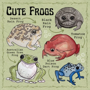 Cute Frogs - Biological Wall Art