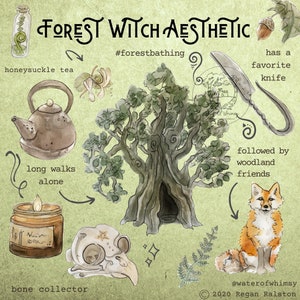Forest Witch Aesthetic Print - Wall Art
