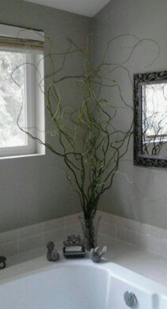 Items similar to 45+ 8 FT Extra Long Curly Willow