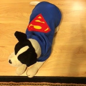 Dog Coat